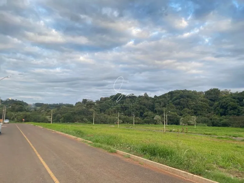 Lotes — Loteamento Zanella — A 200 m do centro — Dois Vizinhos/PR
